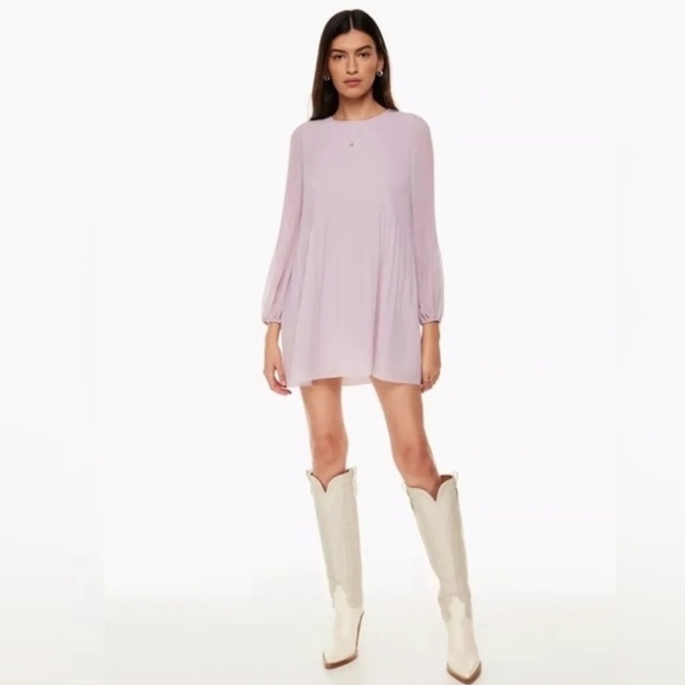 Aritzia Wilfred Daydreamer Mini Dress
